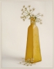 Chervil in Golden Bottle - Jan Cawley - The Vale.jpg